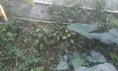 7,5 Tumbak Tanah Kebun Datar Masuk Gang Siap Bangun, Randukurung, Pakuhaji, Ngamprah, Bandung Barat