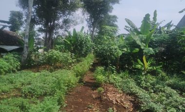 7,5 Tumbak Tanah Kebun Datar Masuk Gang Siap Bangun, Randukurung, Pakuhaji, Ngamprah, Bandung Barat