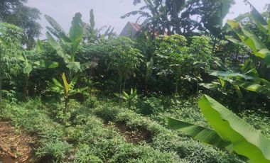 7,5 Tumbak Tanah Kebun Datar Masuk Gang Siap Bangun, Randukurung, Pakuhaji, Ngamprah, Bandung Barat