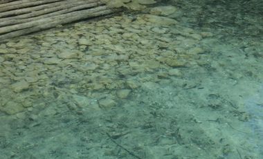 LAGUNA BACALAR