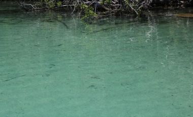 LAGUNA BACALAR