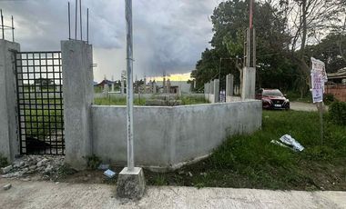 493sqm Prime corner lot near SM at  F. Ave. Villa Benita  Sub. Cabanatuan  City