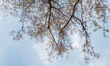 588 MT2 DE TIERRA CON MILES DE KM2 DE VISTA A PAISAJES INCREIBLES DE UN MAR DE NUBES Y VALLES.