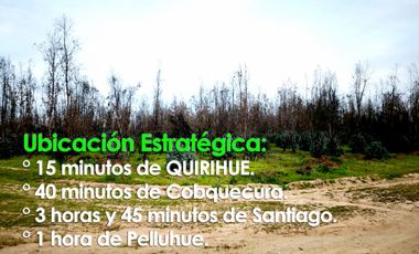 Parcelas planas a solo $6.990.000, sin credito y listas para escriturar (rol propio). A 15 min de QUIRIHE y 25 min de Cauquenes