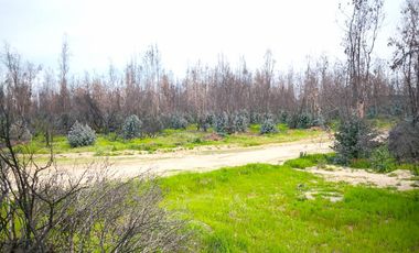 Parcelas planas a solo $6.990.000, sin credito y listas para escriturar (rol propio). A 15 min de QUIRIHE y 25 min de Cauquenes