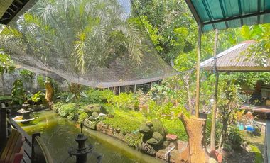 Rumah dan toko pinggir jalan Panjitilar negara