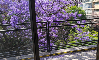 Amsterdam PH. 3 Recamaras 3 Baños/comp. 2 Autos