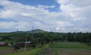 Venta de Finca en Portoviejo, Manabí