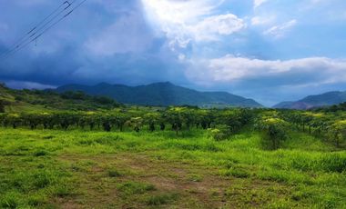 Venta de Finca en Portoviejo, Manabí
