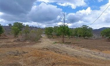 Venta de Finca en Portoviejo, Manabí