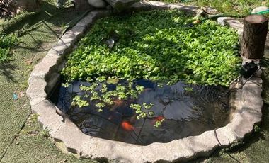 Parcela en Venta en Requinoa / Rancagua / Viñedo Los Boldos