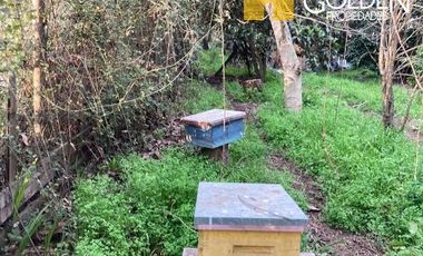 Parcela en Venta en Requinoa / Rancagua / Viñedo Los Boldos