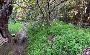 Parcela en Venta en Requinoa / Rancagua / Viñedo Los Boldos