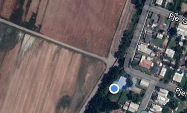 Parcela en Venta en Requinoa / Rancagua / Viñedo Los Boldos