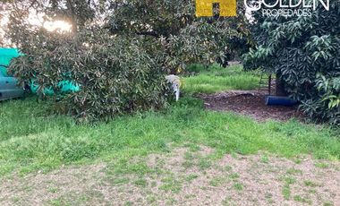 Parcela en Venta en Requinoa / Rancagua / Viñedo Los Boldos