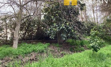 Parcela en Venta en Requinoa / Rancagua / Viñedo Los Boldos