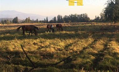 Parcela en Venta en Requinoa / Rancagua / Viñedo Los Boldos