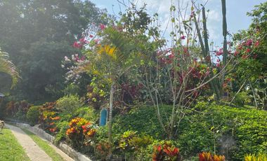 finca en venta en vereda naranjal. Cod V1116008