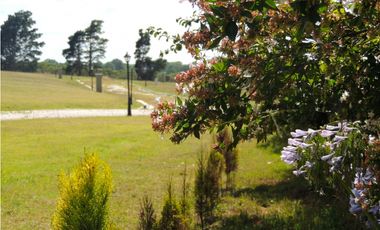 SIERRA DE LOS PADRES, EXCLUSIVO BARRIO CERRADO - VIEJO PINAR