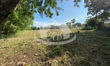 LOTE EN VENTA EN LOS PERICOS | 930