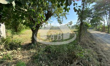 LOTE EN VENTA EN LOS PERICOS | 930