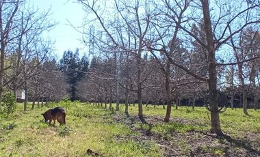 PIRQUE, LOS NOGALES, HERMOSA PARCELA