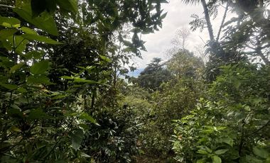 finca en venta en silvania. Cod V6660301