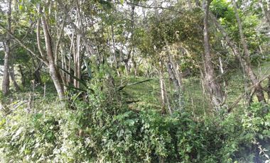 finca en venta en silvania. Cod V6660301