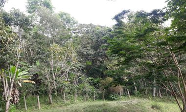 finca en venta en silvania. Cod V6660301