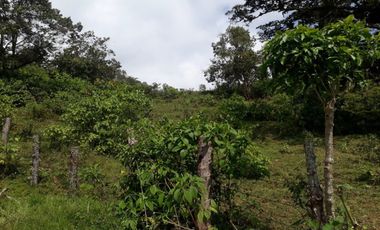 finca en venta en silvania. Cod V6660301