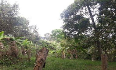 finca en venta en silvania. Cod V6660301