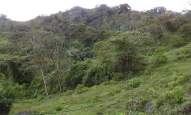 finca en venta en silvania. Cod V6660301