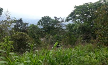 finca en venta en silvania. Cod V6660301