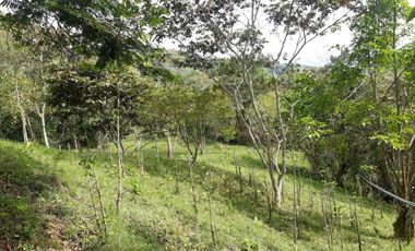 finca en venta en silvania. Cod V6660301