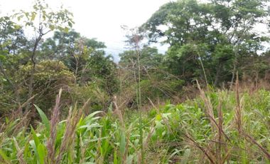 finca en venta en silvania. Cod V6660301