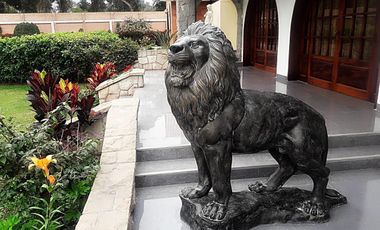 Vendo Exclusiva Casa De Campo “Venus” – Cercana A Comisaria - Cieneguilla