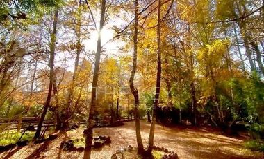 Parcela en Venta en 2 Km Melipeuco - 10 Km Parque Nacional Conguillio