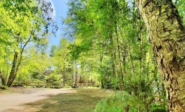 Parcela en Venta en 2 Km Melipeuco - 10 Km Parque Nacional Conguillio