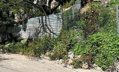 Se Venden 2 terrenos, Juntos o separados en Col, Buena Vista
