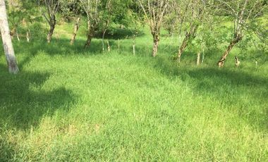 lote en venta en vereda guaimaral. Cod V11224