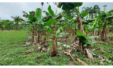 VENDO TERRENO 6220 M2 EN PRODUCCION BOQUERON