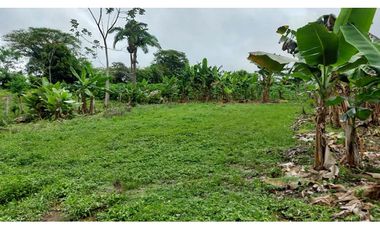 VENDO TERRENO 6220 M2 EN PRODUCCION BOQUERON