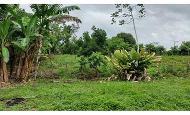 VENDO TERRENO 6220 M2 EN PRODUCCION BOQUERON