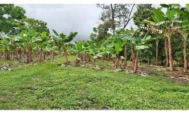 VENDO TERRENO 6220 M2 EN PRODUCCION BOQUERON