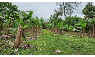 VENDO TERRENO 6220 M2 EN PRODUCCION BOQUERON