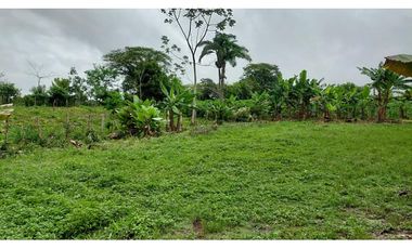 VENDO TERRENO 6220 M2 EN PRODUCCION BOQUERON