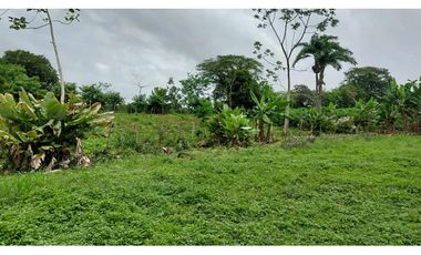 VENDO TERRENO 6220 M2 EN PRODUCCION BOQUERON