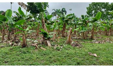 VENDO TERRENO 6220 M2 EN PRODUCCION BOQUERON