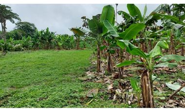 VENDO TERRENO 6220 M2 EN PRODUCCION BOQUERON