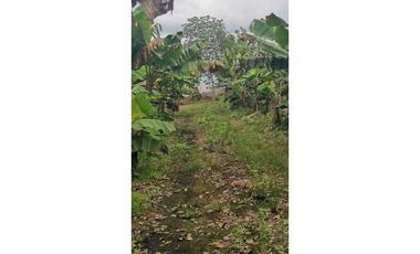 VENDO TERRENO 6220 M2 EN PRODUCCION BOQUERON